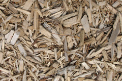 biomass boilers Common End
