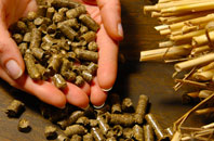 free Common End biomass boiler quotes